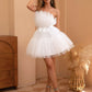 Tulle Ruffle Hem Bow Detail Mini Dress