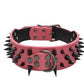 Spiked Studded Leather Collars
