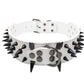 Spiked Studded Leather Collars
